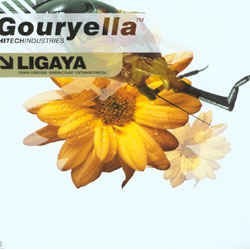 Gouryella ‎– Ligaya (Part 2 Of A 2 Vinyl Set)