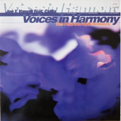  Joe T. Vannelli Feat. Csilla ‎– Voices In Harmony (The Paul Van Dyk Remixes) 