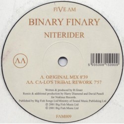 Binary Finary ‎– Niterider 