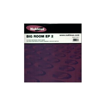 Nick Sentience & Harry Diamond ‎– Big Room EP 2 
