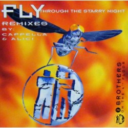 2 Brothers On The 4th Floor ‎– Fly (The Remixes) 