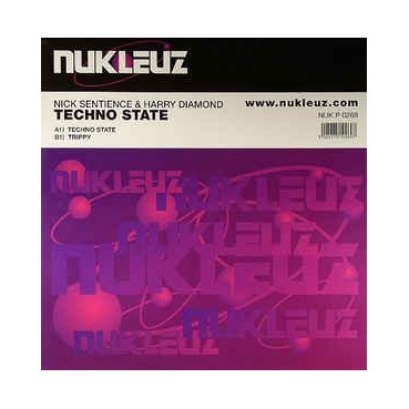Nick Sentience & Harry Diamond ‎– Techno State