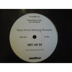 Open Arms Featuring Rowetta ‎– Hey Mr DJ 