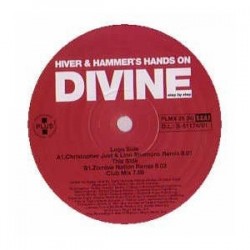 Hiver & Hammer 's Hands On Divine ‎– Step By Step