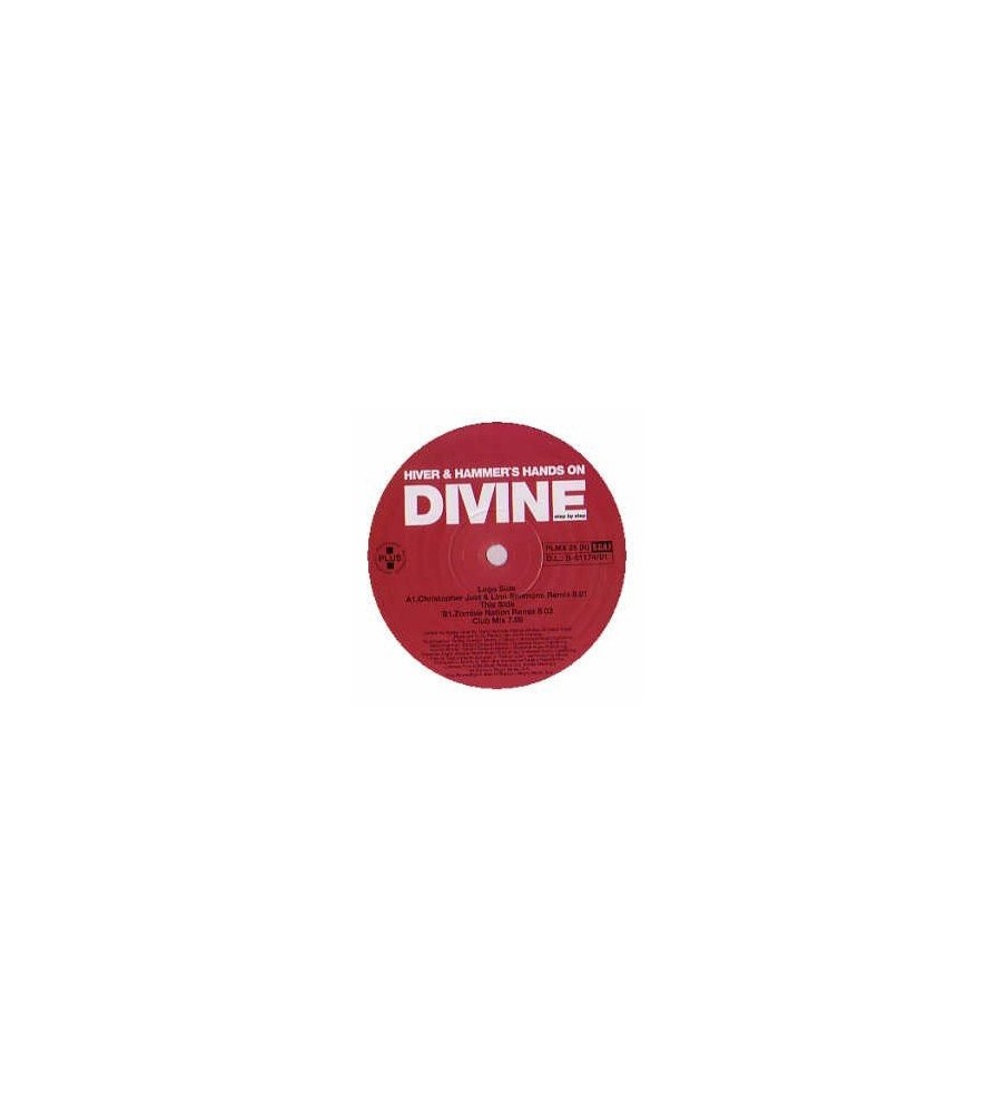 Hiver & Hammer 's Hands On Divine ‎– Step By Step