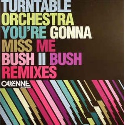Turntable Orchestra ‎– You're Gonna Miss Me (Bush II Bush Remixes)