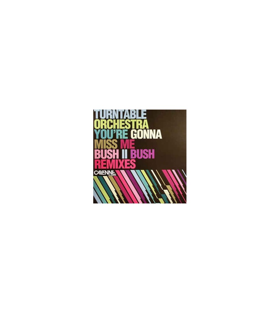 Turntable Orchestra ‎– You're Gonna Miss Me (Bush II Bush Remixes)