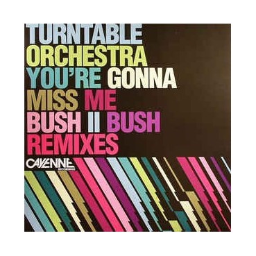 Turntable Orchestra ‎– You're Gonna Miss Me (Bush II Bush Remixes)