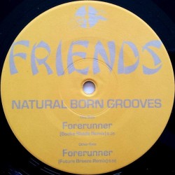Natural Born Grooves ‎– Forerunner (Remixes)