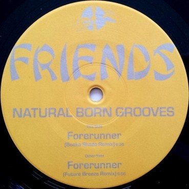 Natural Born Grooves ‎– Forerunner (Remixes)