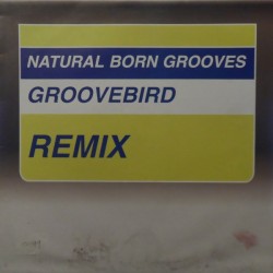 Natural Born Grooves – The Groovebird EP