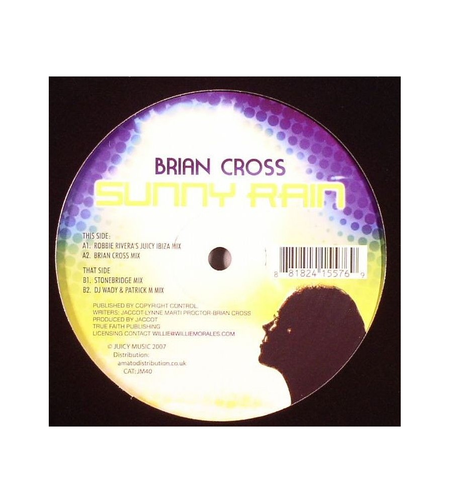 Brian Cross ‎– Sunny Rain 