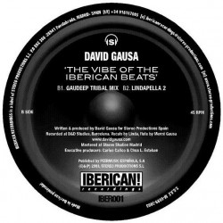 David Gausa ‎– The Vibe Of The Iberican Beats