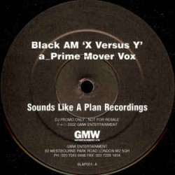 Black AM ‎– X Versus Y 