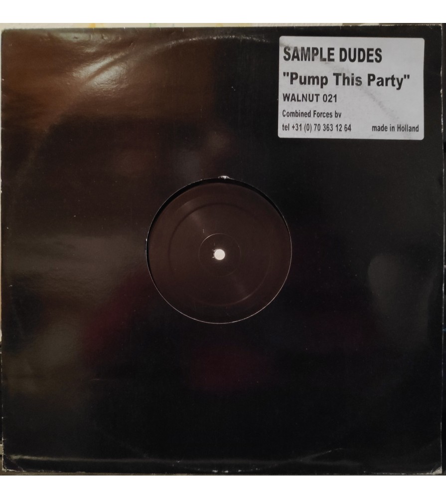 Sample Dudes ‎– Pump This Party 