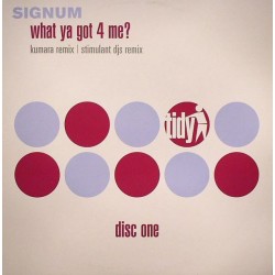 Signum ‎– What Ya Got 4 Me (Disc One)