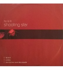Flip & Fill - Shooting Star...