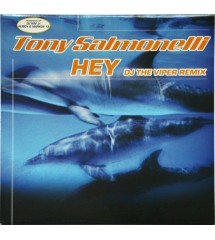 Tony Salmonelli ‎– Hey (DJ...