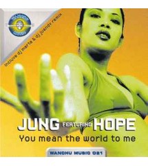 Jung - You Mean The World...