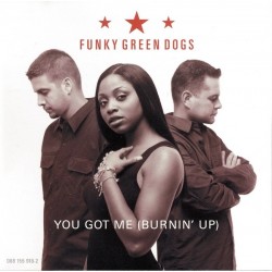 Funky Green Dogs - You Got Me (2 MANO,CLÁSICO SOUND FACTORY¡¡ JOYITA¡¡)