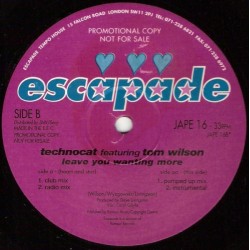 Technocat Featuring Tom Wilson - Leave You Wanting More(2 MANO,CANTADO REMEMBER)