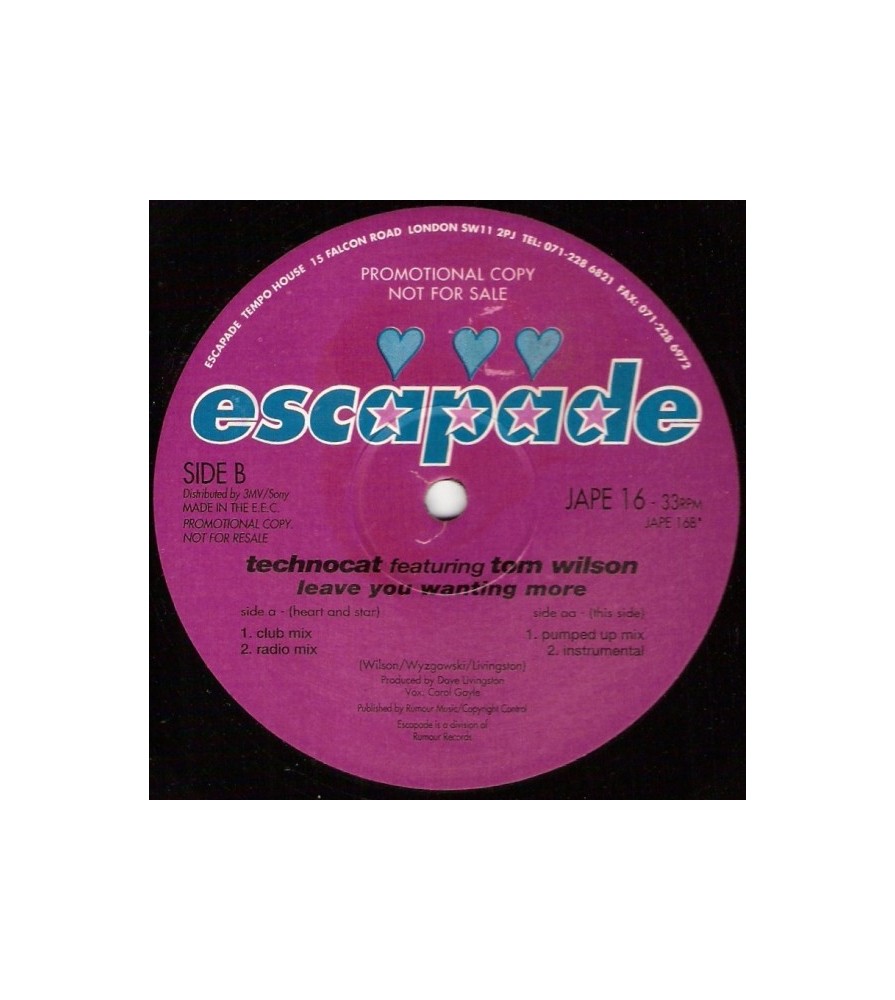 Technocat Featuring Tom Wilson - Leave You Wanting More(2 MANO,CANTADO REMEMBER)