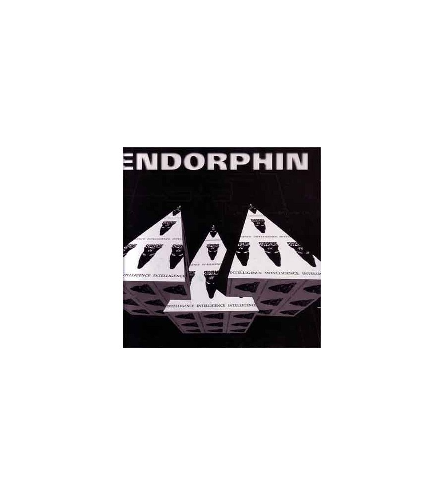 Endorphin - They Came At Night(SUPREME INTELLIGENCE)