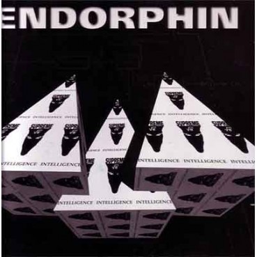 Endorphin - They Came At Night(SUPREME INTELLIGENCE)
