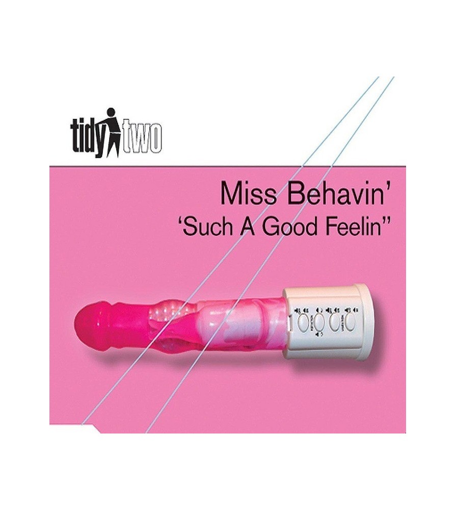 Miss Behavin' - Such A Good Feelin'(MELODIÓN¡¡)