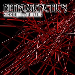 Nitrogenetics – Shocking And Stunning(2 MANO,TEMAZOOOOOOOO¡¡)