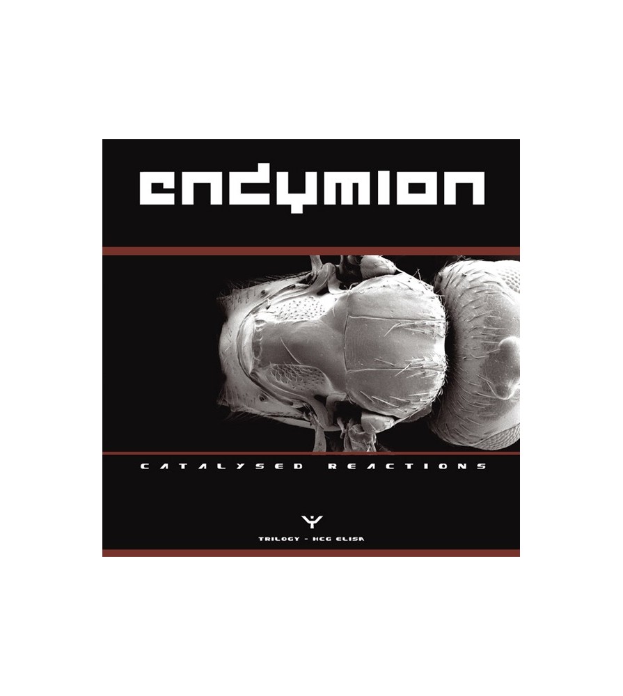 Endymion – Catalysed Reactions Part 2 (2 MANO,TEMAZO ENZYME¡¡)