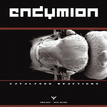 Endymion – Catalysed Reactions Part 2 (2 MANO,TEMAZO ENZYME¡¡)