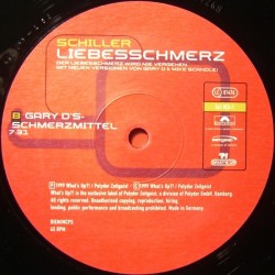 Schiller - Liebesschmerz(MELODIA MUY FINA¡)