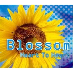 Blossom – Heart To Heart (2 MANO,TEMAZO MAKINA BUSCADISIMO¡¡)