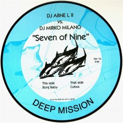 DJ Arne L II vs. DJ Mirko Milano – Seven Of Nine(NUEVO)