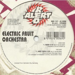 Electric Fruit Orchestra – Now (NUECO,CLASICO REMEMBER)