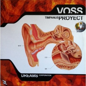 Voss – Timpanus Project (2 MANO,BASES)