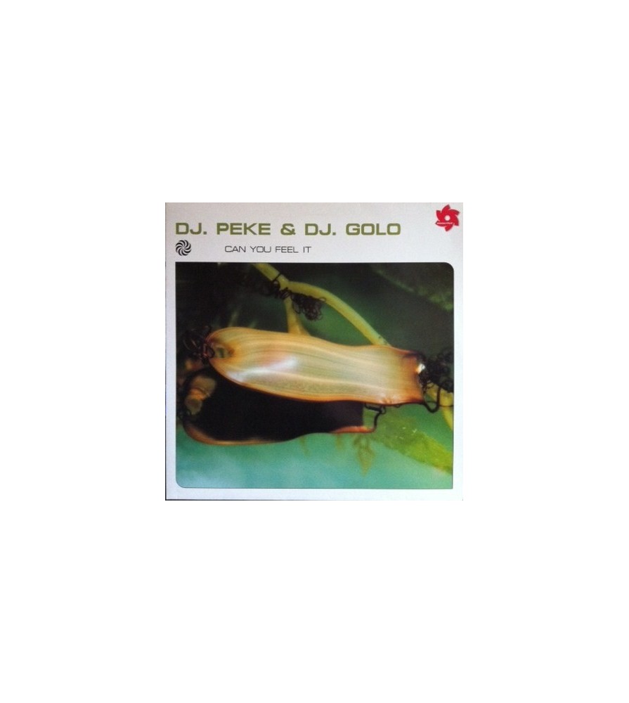 DJ Peke & DJ Golo – Can You Feel It (NUEVO¡¡ PELOTAZO BUSCADISIMO REVIVALERO¡¡)