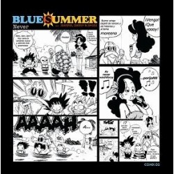 Blue Summer aka JDS – Never (2 MANO,COMO NUEVO¡)