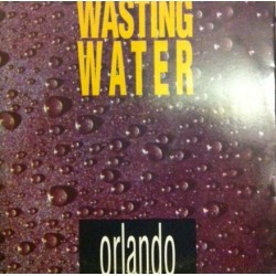 Orlando  - Wasting Water (COPIA IMPORT,TEMAZO ITALO¡¡¡)