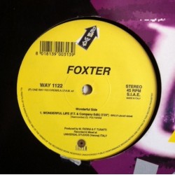 Foxter – Wonderful Life (TEMAZO LIMITE)