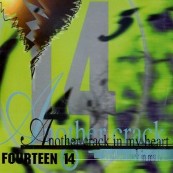 Fourteen 14 – Another Crack In My Heart 